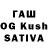 Псилоцибиновые грибы Magic Shrooms kumar DF