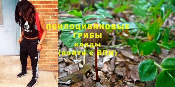 spice Алексеевка