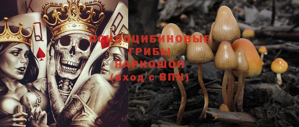твердый Абинск