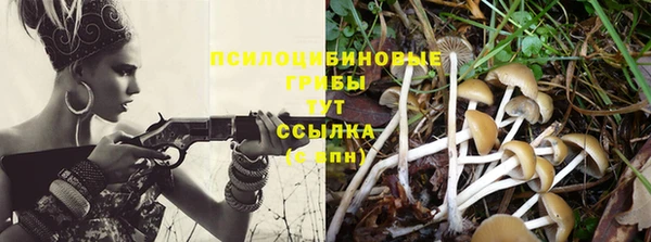 меф Абаза