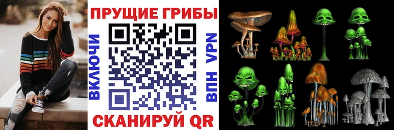 Псилоцибиновые грибы мицелий  Троицк 